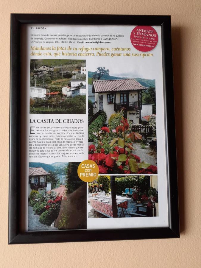 La casina de santulaya Villa Cangas De Narcea Exterior foto