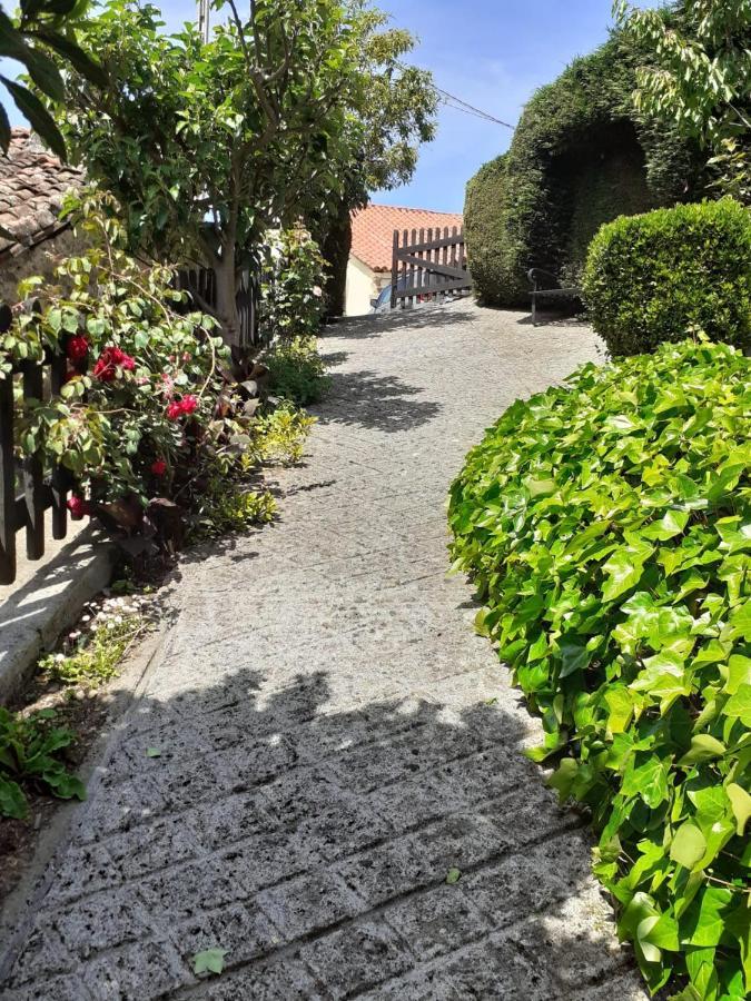 La casina de santulaya Villa Cangas De Narcea Exterior foto