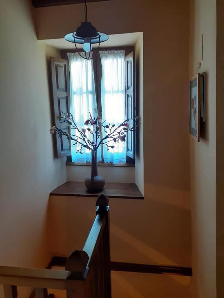 La casina de santulaya Villa Cangas De Narcea Exterior foto